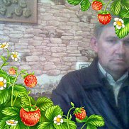 , 61 , 