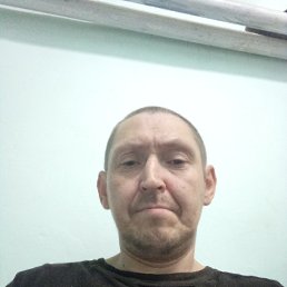 , 41, 