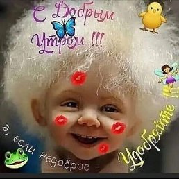 ���� �����, ������, 54 ���� - ��������� 11 ����� 2026