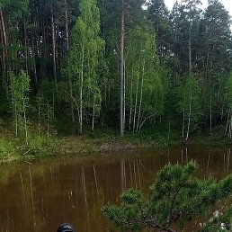 �������, ��������, 49 ���