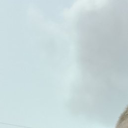 , , 28 