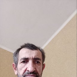 , 57, 