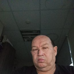 ���, 67 ���, ��������