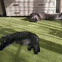 ���� �����, ������� �������� - ��������� 26 ������ 2025 � ������ ������ ��������