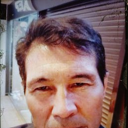 , 56, 