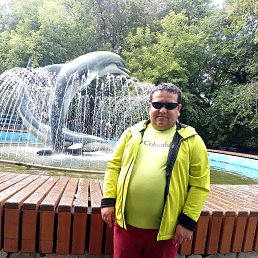 �����, 37 ���, ������