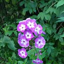 ���� ������, �����-���������, 62 ���� - ��������� 25 �������� 2025 � ������ �������