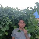 ���� �������, ������, 41 ��� - ��������� 5 ������ 2026 � ������ ���� ����������