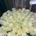 ���� ��������, �����, 59 ��� - ��������� 3 ������� 2026