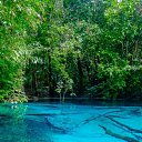 ���� Ni�, ������, 58 ��� - ��������� 28 ������� 2024