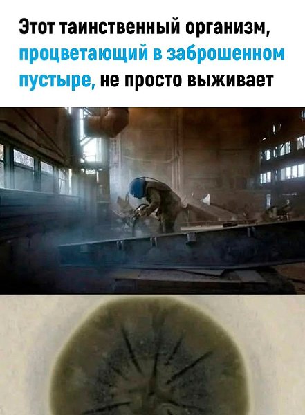    - 2