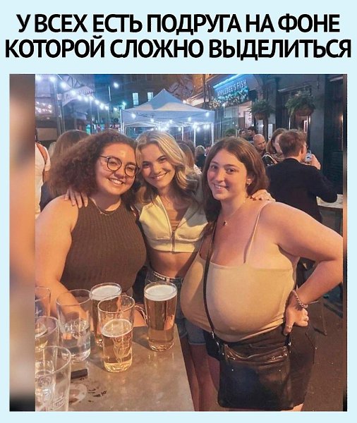 Cheers! |    - 13  2025  18:19