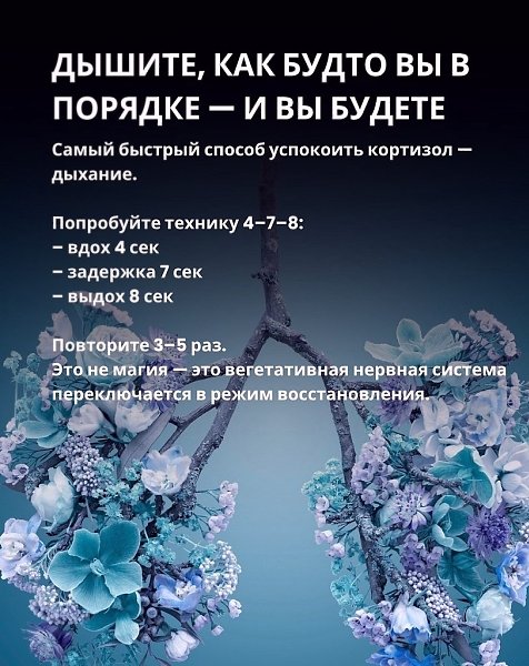  - 19  2025  13:01 - 4