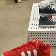 �������, 37 ���, ������