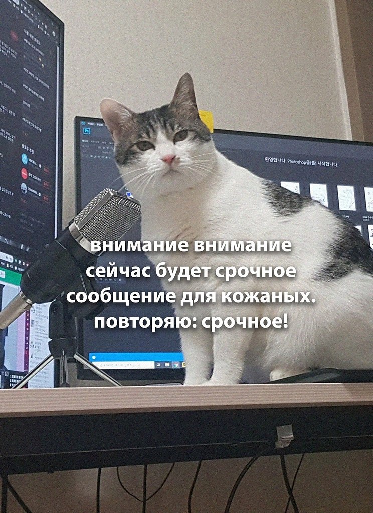 ��� �������� �������� - 14 ������� 2026 � 20:18