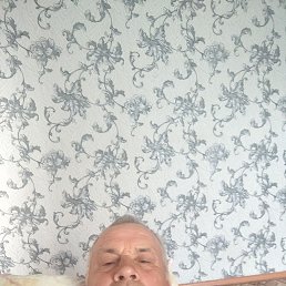 , 54, -