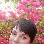 ������, 43 ����, �����