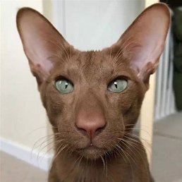 , , 65 