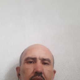 , 37, 