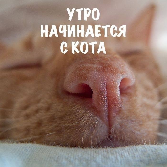       - 23  2025  08:20
