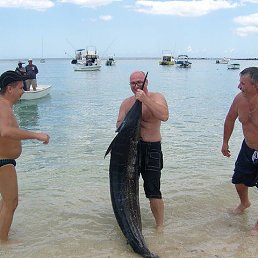 ���� ���������, �����, 57 ��� - ��������� 7 ������� 2023