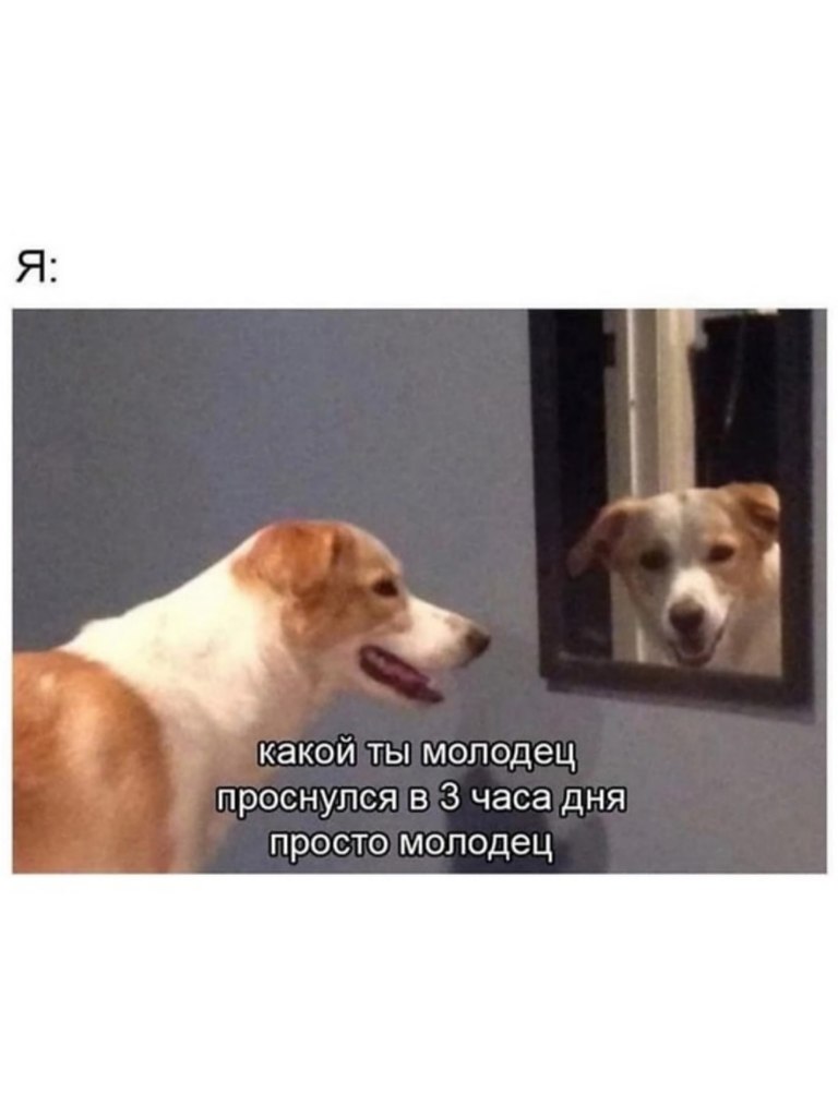 �������. - 1 ������� 2026 � 08:34 - 2