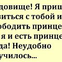  Arne, -- -  26  2025    