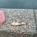  , -, 42  -  10  2025    