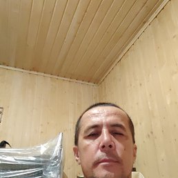 , 48, 