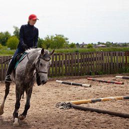 ���� �������, �����������, 42 ���� - ��������� 21 ������� 2026