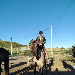 �������, ������, 36 ���