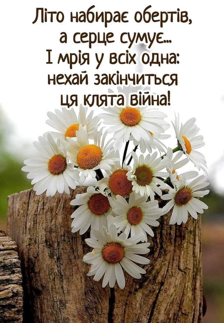  - 22  2024  12:01