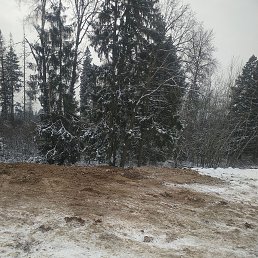 ���� ����, ����������, 47 ��� - ��������� 26 ������ 2023