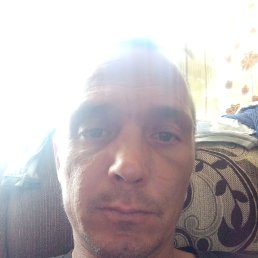 , 37, 
