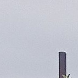 �������, ������, 64 ����