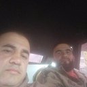 ���� Fir, ����, 39 ��� - ��������� 9 ������ 2026