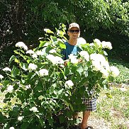 ����, 40 ���, ������-�������