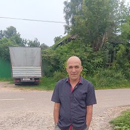 , 44, 