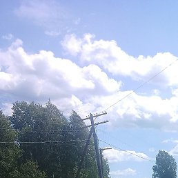 ����, ������, 49 ���