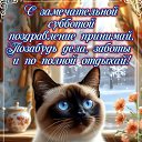 ���� �������, ������ - ��������� 18 ������� 2026