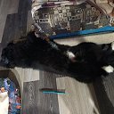 ���� ���������, ��������������, 41 ��� - ��������� 5 ������� 2024 � ������ ���� ����������
