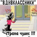 ���� Kamina, �����-���������, 46 ��� - ��������� 8 ����� 2024 � ������ ���� ����������