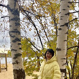 �������, �����, 52 ����