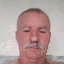 , 65 , 