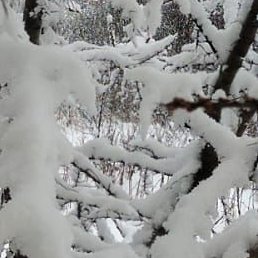 �����, �������, 47 ���