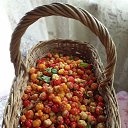 ���� ������, �����-���������, 61 ��� - ��������� 4 ���� 2025 � ������ ���� ����������