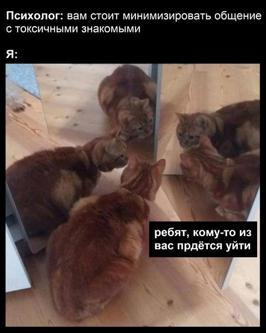  - 1  2025  16:36