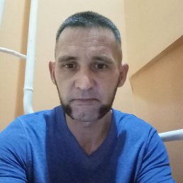 , 41, 