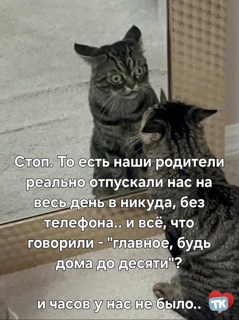   - 26  2025  20:29