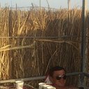 ���� Uzb, �������, 38 ��� - ��������� 7 ���� 2024 � ������ ���� ����������